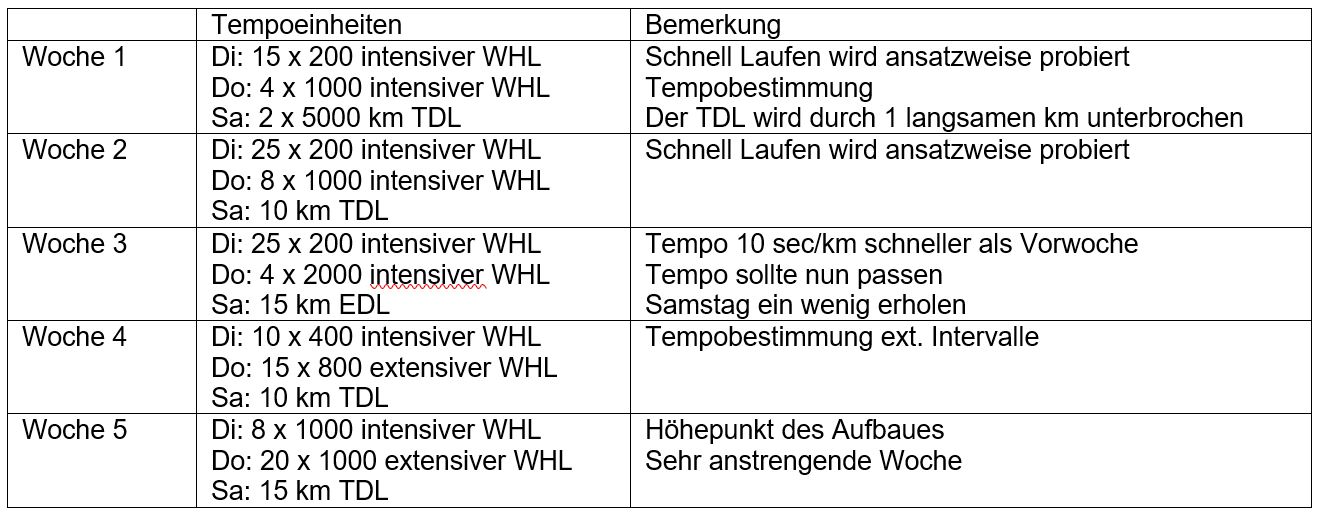Tempo 06 Trainingsplan
