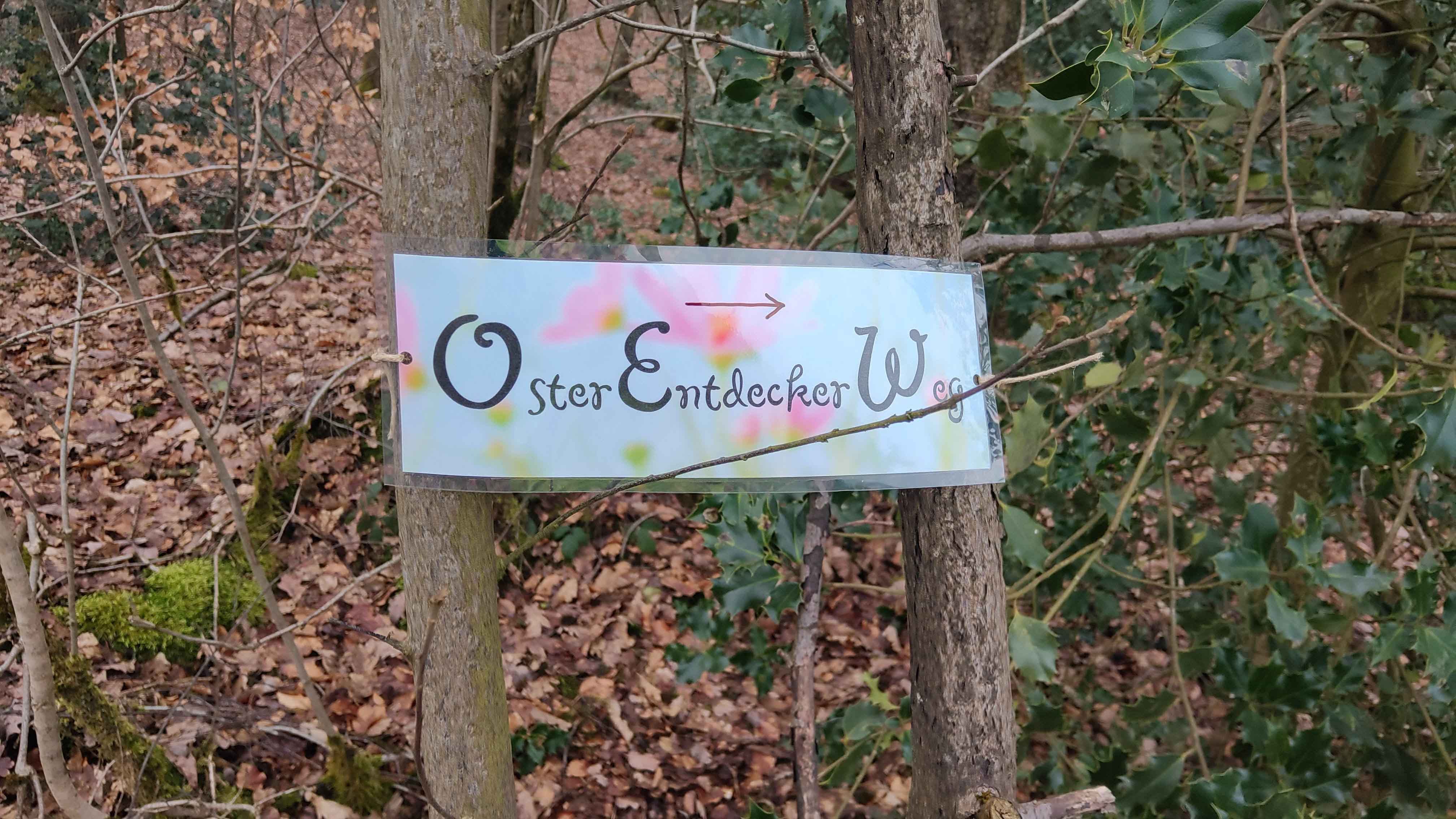 IMG 20210328 110055B