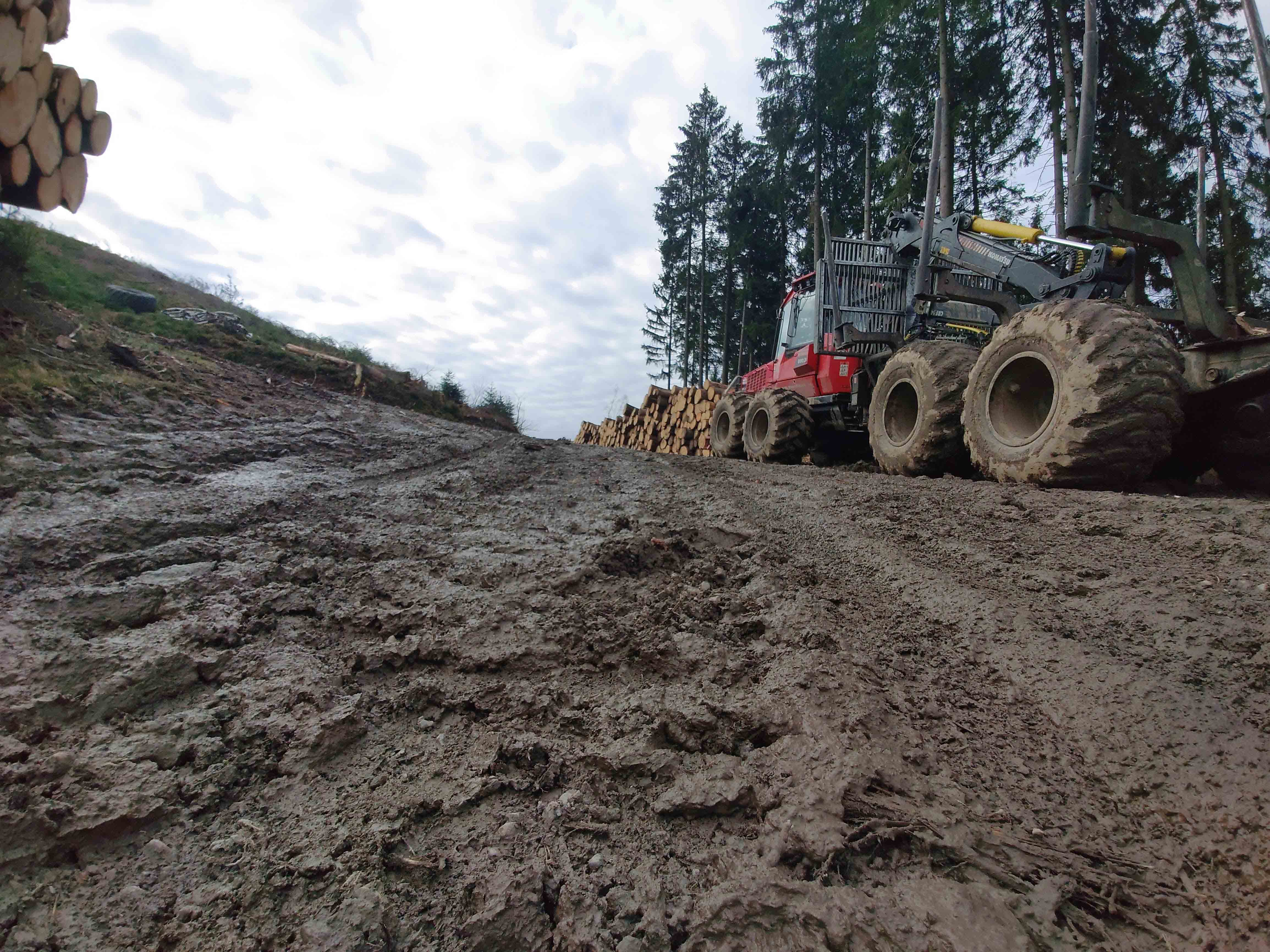 IMG 20210328 112818B