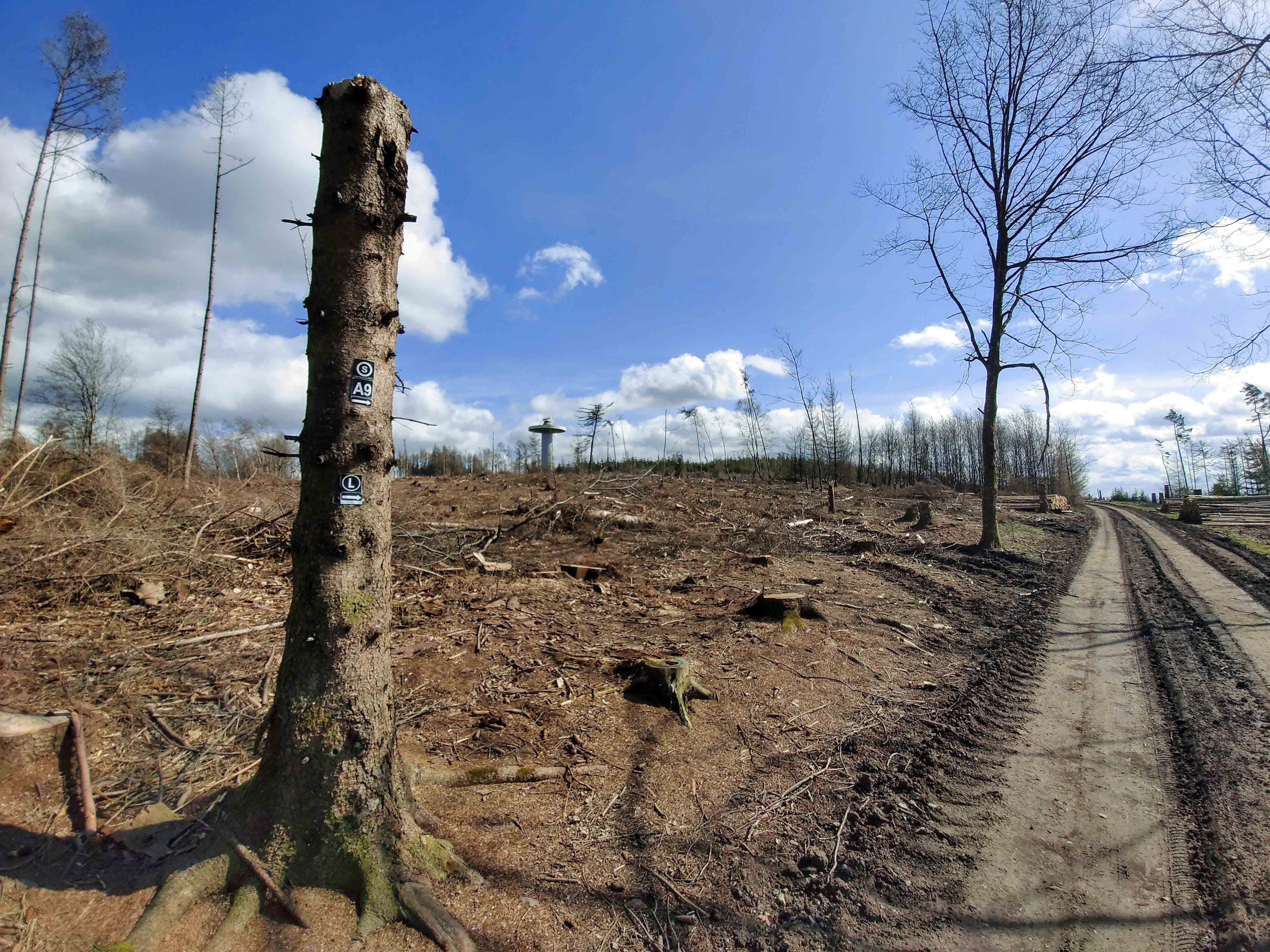 IMG 20210328 125843B