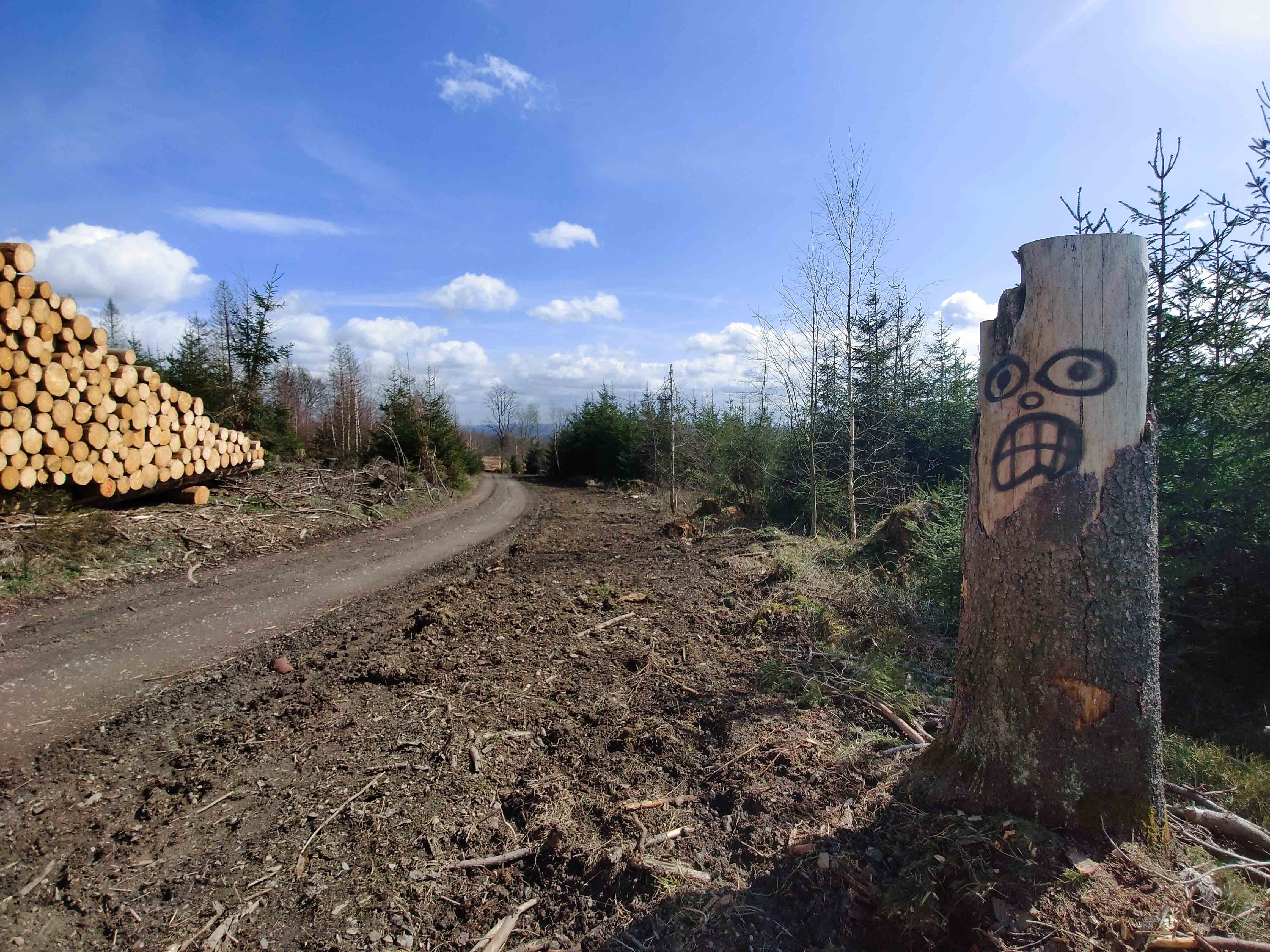 IMG 20210328 130240B