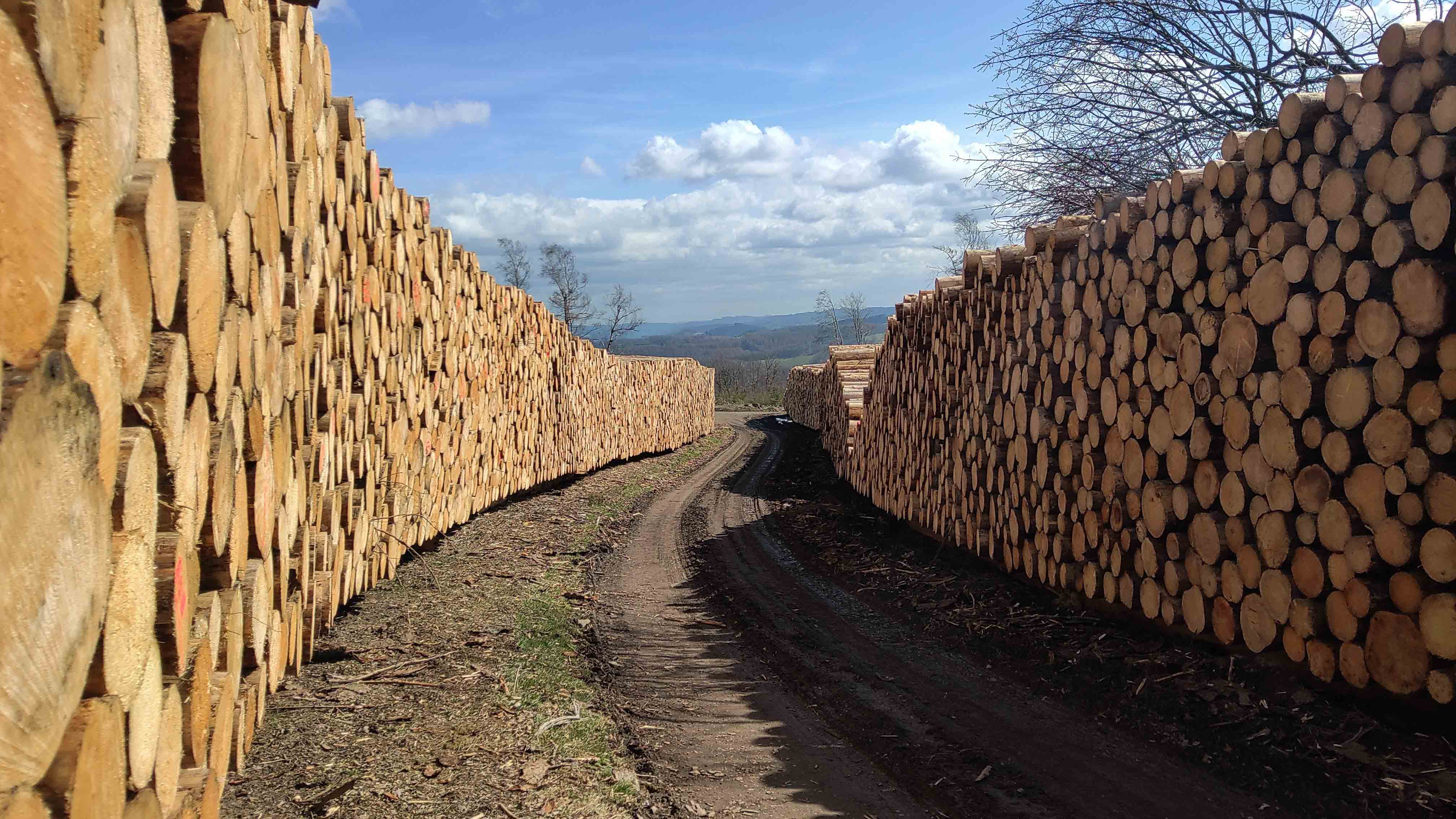 IMG 20210328 130338B