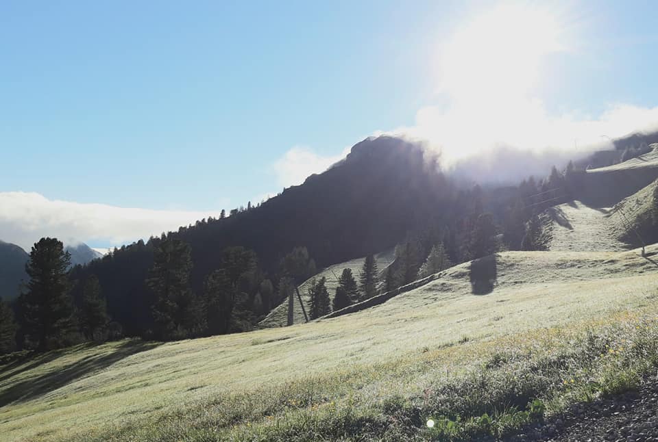 290384234 2294838897340988 646332987001011939 n