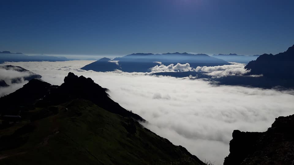 291620562 2294838837340994 1734425730163429305 n