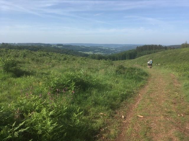 HoherVenn2