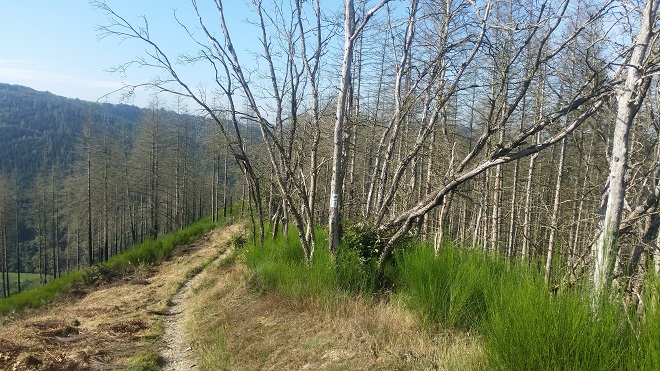 ge06 Weg
